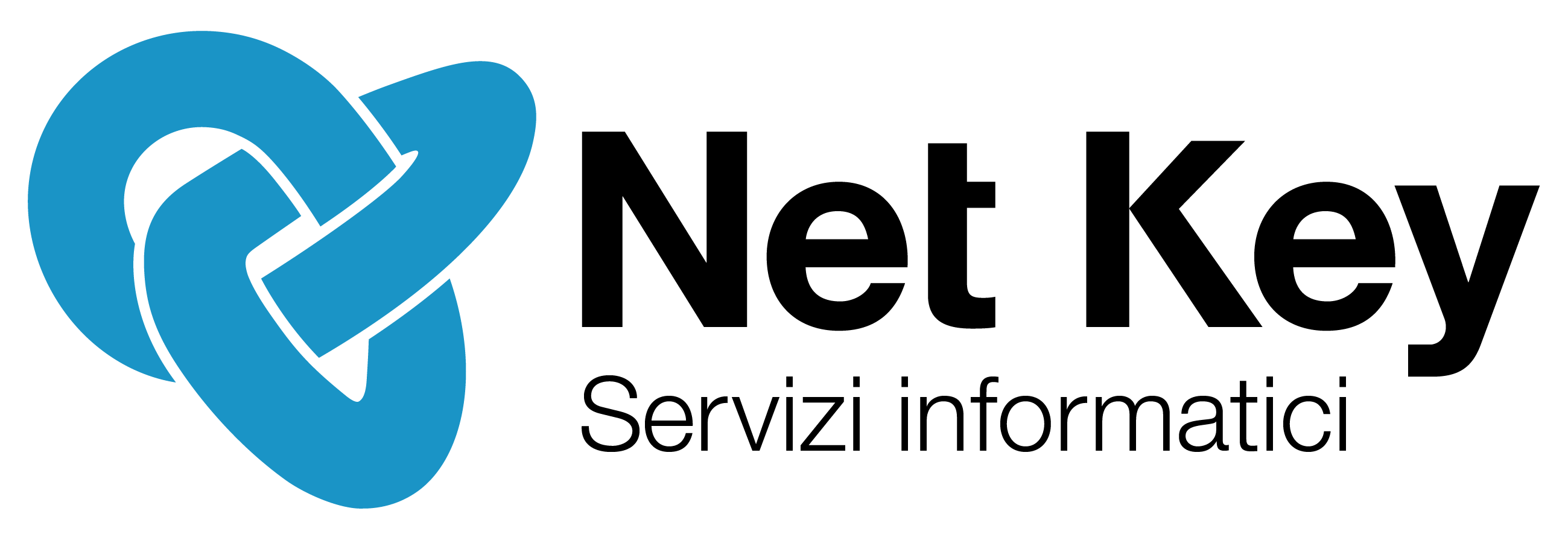 NetKey logo